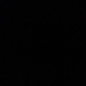 Meet your Posher, Coy